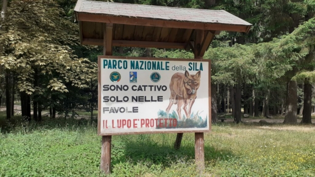 Sila Grande